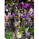 Orchidee Arrangements